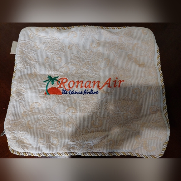 Balenciaga + Ronan Air Pillow Case - Picture 2 of 5